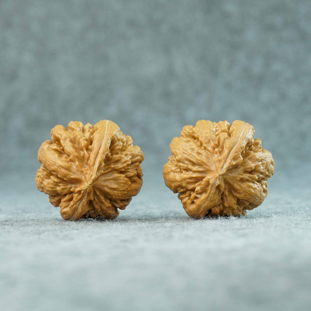 43mm Tyrannosaurus Walnut | One-of-a-Kind Collector Pair | 092006