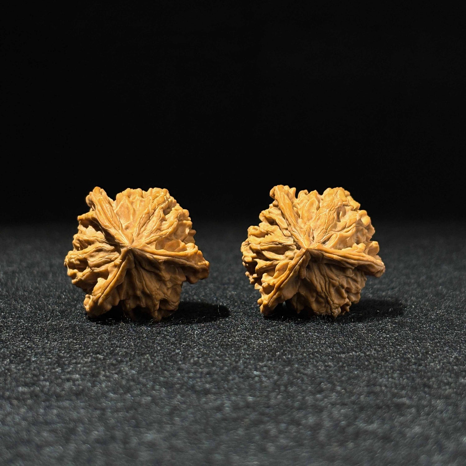 37mm Panshan Zhengben Walnut 52006| One-of-a-Kind Listing